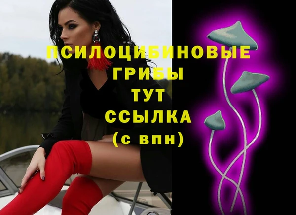 прущие крисы Балахна