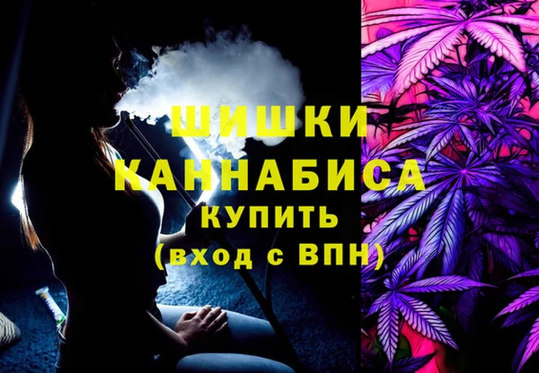 ПСИЛОЦИБИНОВЫЕ ГРИБЫ Баксан