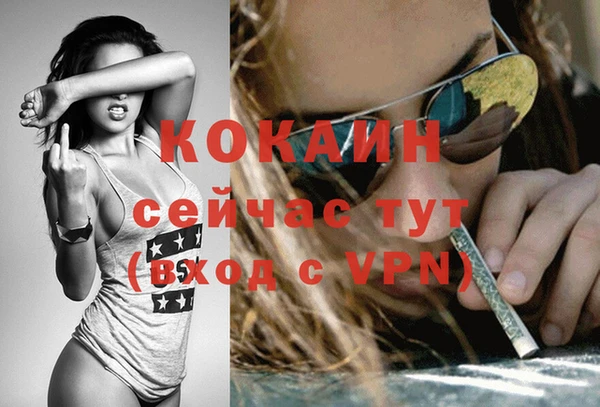 прущие крисы Балахна