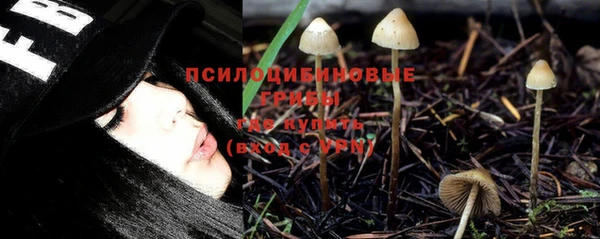 прущие крисы Балахна