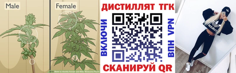 Дистиллят ТГК жижа  Светогорск 