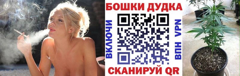 Шишки марихуана Bruce Banner  купить наркотик  Светогорск 